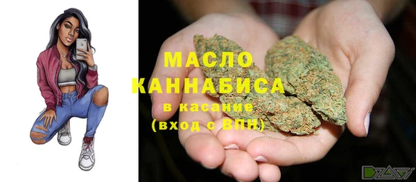 spice Богородицк
