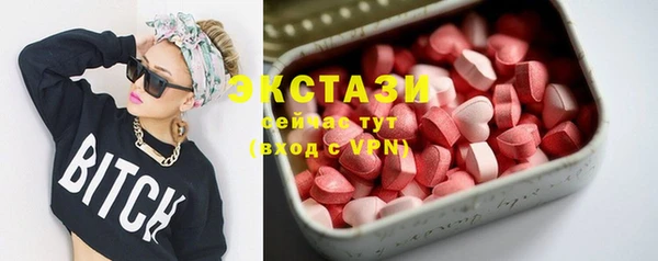 spice Богородицк