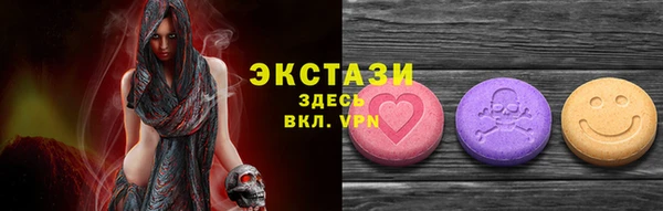 spice Богородицк