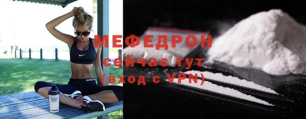 spice Богородицк