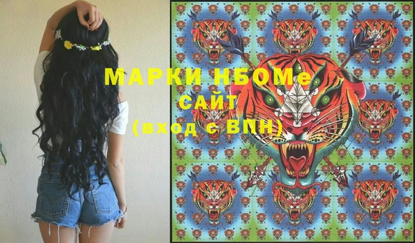 spice Богородицк