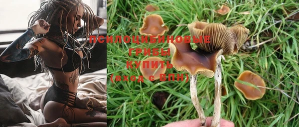 прущие крисы Богородск