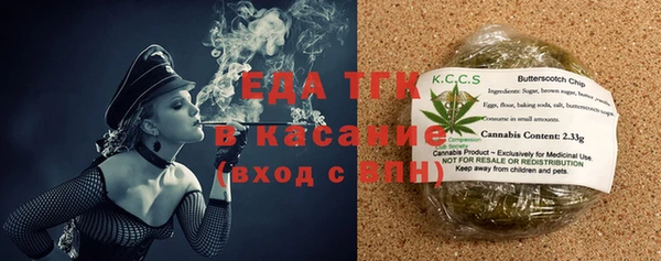 spice Богородицк